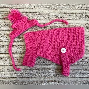 Handmade Crochet Dog Sweater with Hat